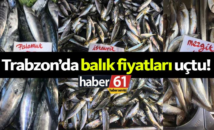 Trabzon'da balık fiyatları fındığı solladı