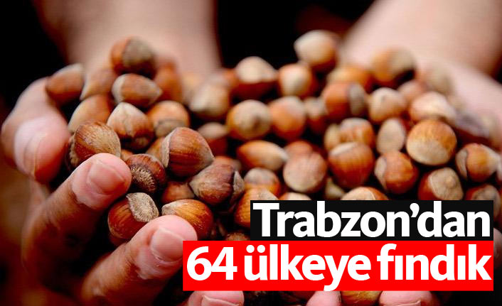 Trabzon'dan 64 ülkeye fındık