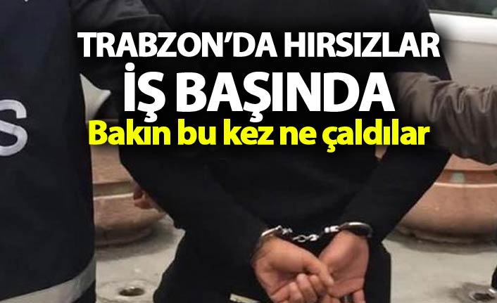 Trabzon'da hırsızlar iş başında - Bakın bu kez ne çaldılar