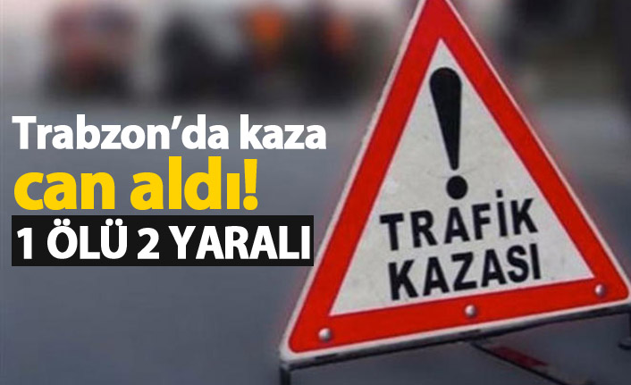 Trabzon'da araç ormanlık alana yuvarlandı: 1 ölü 2 yaralı