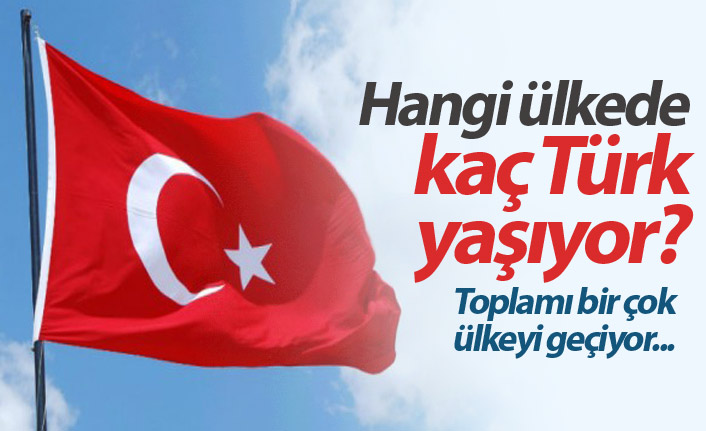 Hangi ülkede kaç Türk yaşıyor?