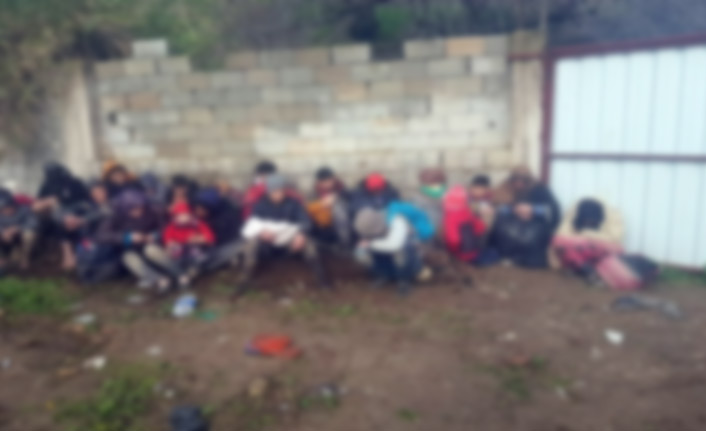 Van'da 39 kaçak göçmen yakalandı