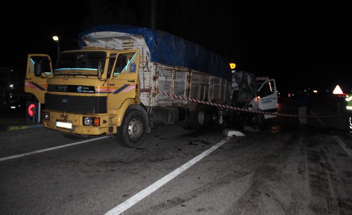 Yolcu minibüsü kamyona çarptı: 2 ölü, 11 kişi yaralı