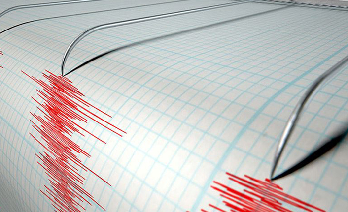 Muğla'da 4,6 büyüklüğünde deprem
