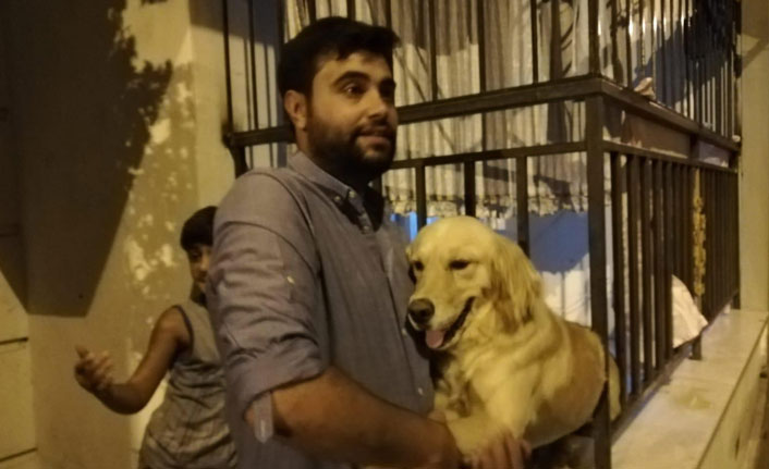 Demir parmaklıklara sıkışan köpek kurtarıldı