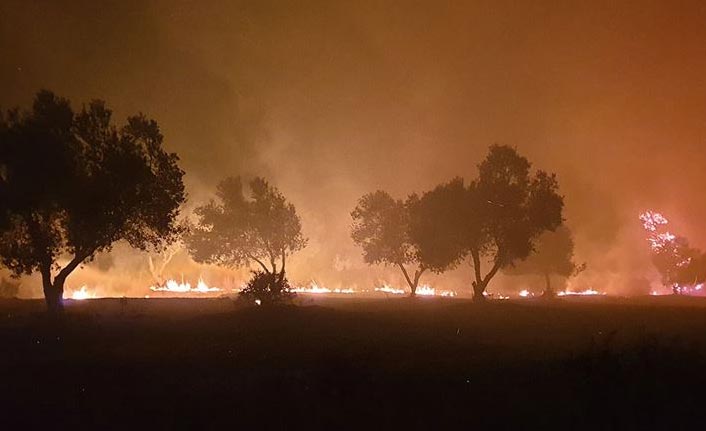 Çanakkale'de orman yangını - Kontrol altına alındı