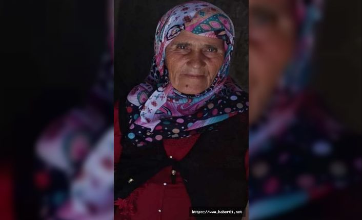 Tarlaya gitmek için evden ayrılan yaşlı kadından 4 gündür haber alınamıyor