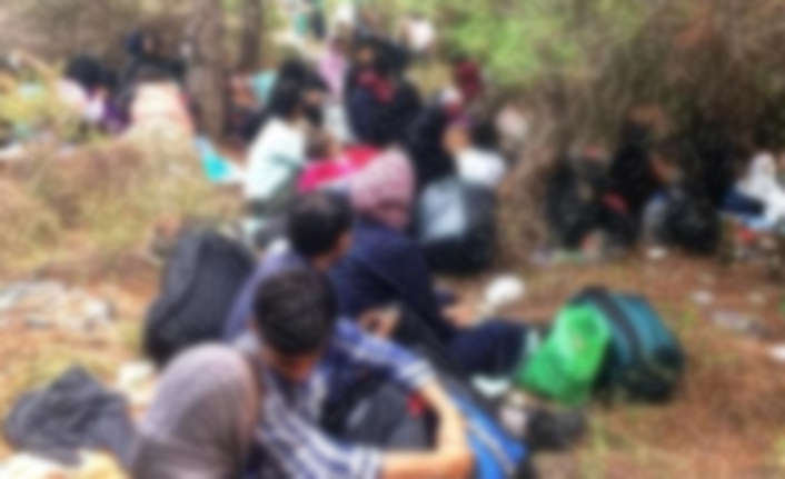 61 düzensiz göçmen ve 3 organizatör yakalandı