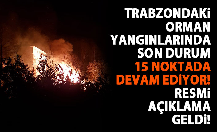 Trabzon'daki orman yangınlarında son durum! 15 noktada devam ediyor!