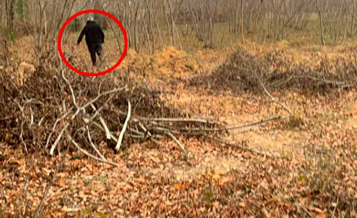 Ormanlık alanda, köpeğe cinsel istismar uygularken yakalandı