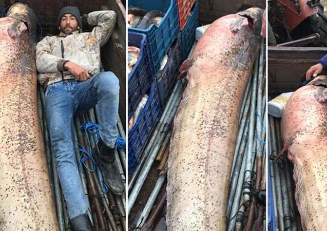 120 kiloluk yayın balığıyla poz verdiler!