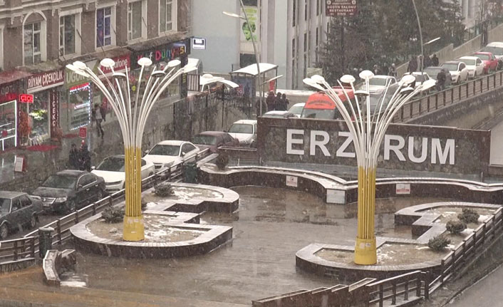 Erzurum'da kar yağışı etkili oluyor