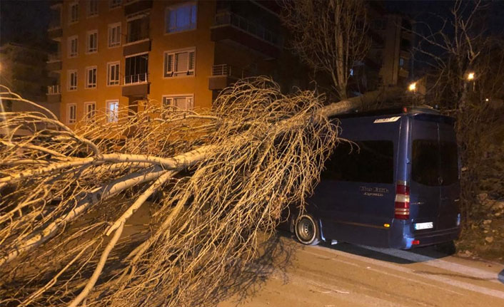 Başkent'te ağaç minibüsün üstüne devrildi