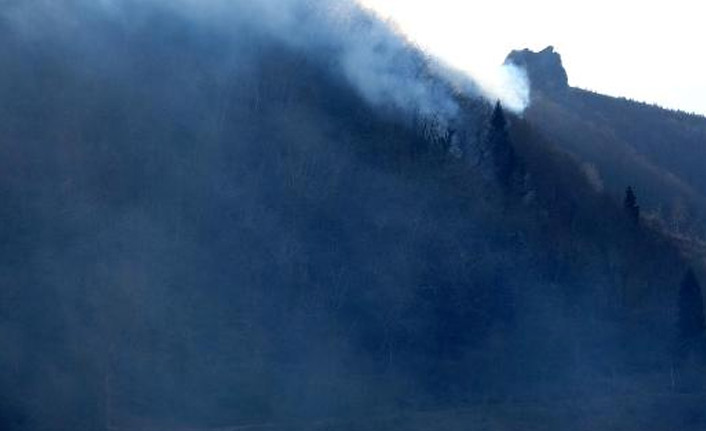Trabzon'daki orman yangınları kontrol altında