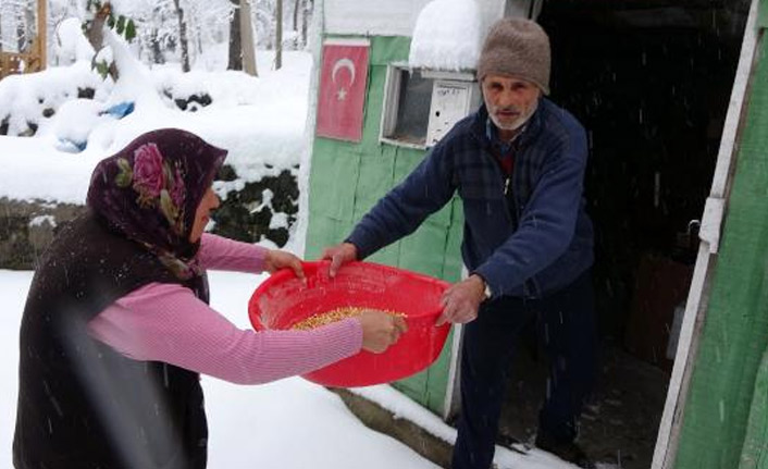 Trabzon'da koronavirüs önlemi köye gitmek oldu