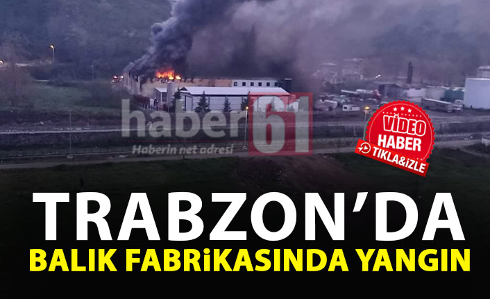 SON DAKİKA! Trabzon'da balık fabrikasında yangın!