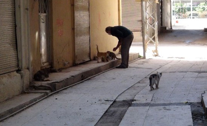 Esnaf sokağa çıkma kısıtlamasında da kedileri yalnız bırakmadı