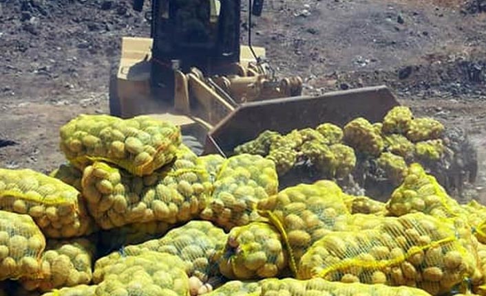 25 ton patates imha edildi