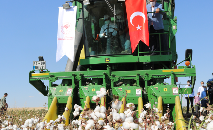 Diyarbakır’da pamuk hasadı başladı