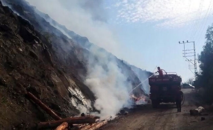 Kahramanmaraş'ta orman yangını - 10 Ekim 2020