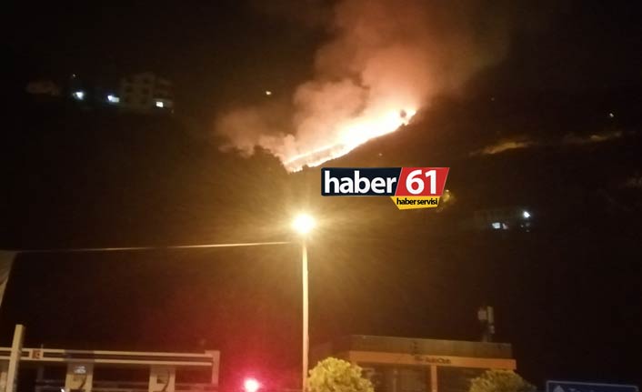 Trabzon'da yangın! Akyazı'da alevler yükseldi