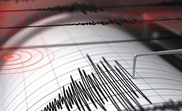 Muğla'da korkutan deprem! AFAD'dan açıklama
