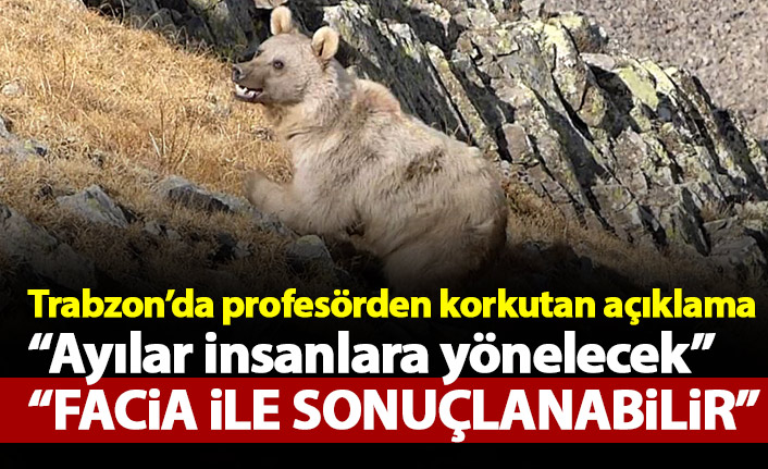 Trabzon'da Profesörden korkutan açıklama: Ayılar insanlara yönelecek...
