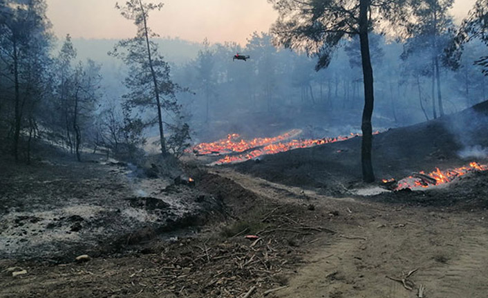 Kahramanmaraş'ta orman yangını - 20 Temmuz 2021