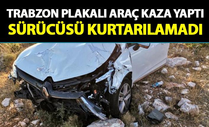 Trabzon plakalı araç kaza yaptı! Sürücüsü kurtarılamadı