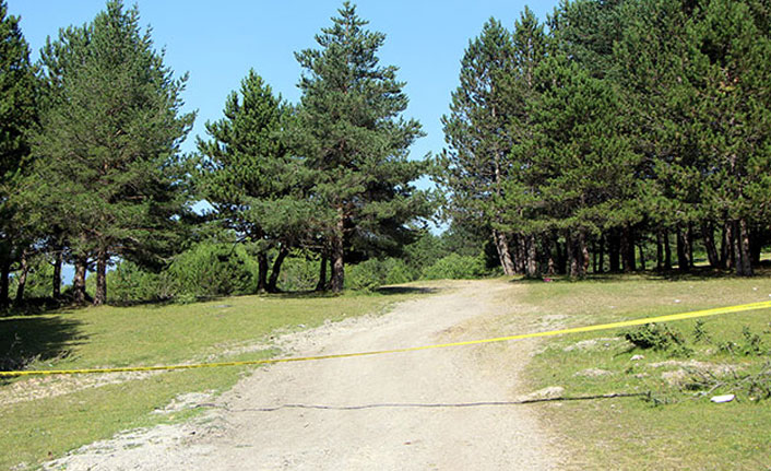 Ankara'da da ormanlık alanlara girişlere yasak