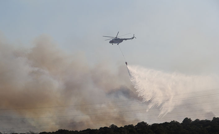 İzmir Urla’daki makilik alan yangını kontrol altında