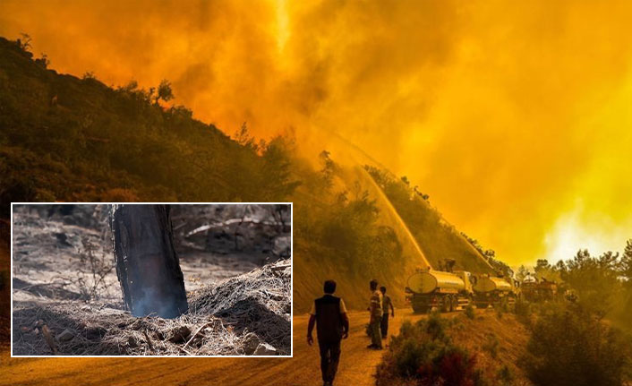 Antalya'da ormanlar için için yanmaya devam ediyor