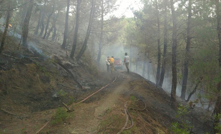 Balıkesir'deki orman yangını kontrol altında