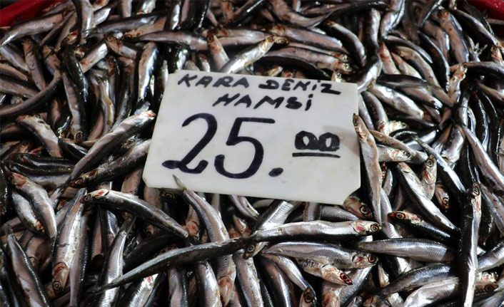 Balık sezonu açıldı fiyat arttı
