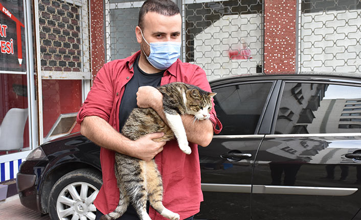 Trabzon'da Çapkın'a hayvansever usta öğretici sahip çıktı