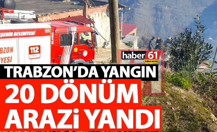 Trabzon’da korkutan yangın! 20 dönüm arazide ne varsa yandı
