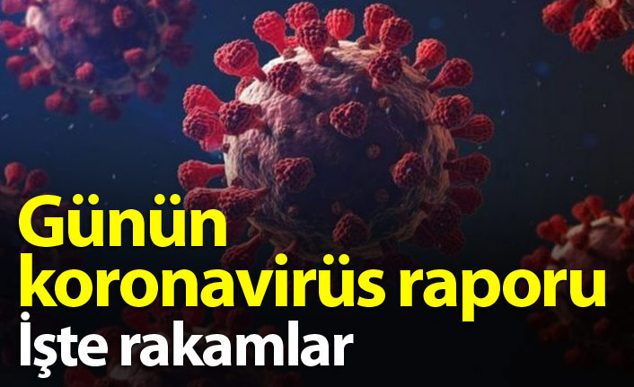 Türkiye'de günün koronavirüs raporu 11.02.2022