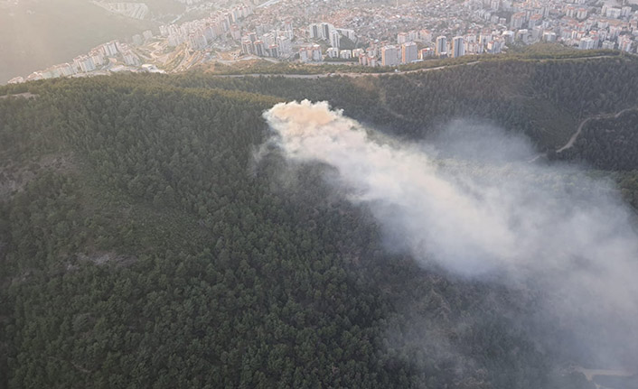 İzmir'de bir yangın daha