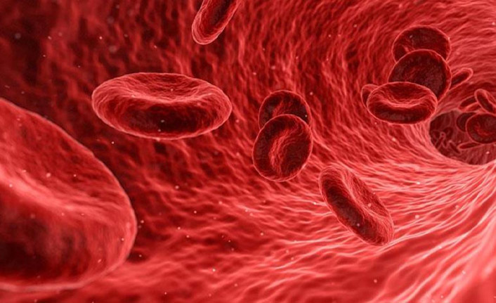 Kan grubu AB olanların hastalıklara karşı daha dirençsiz olduğu tespit edildi