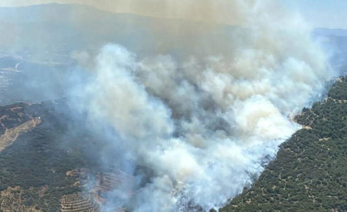 İzmir'de iki bölgede orman yangını çıktı