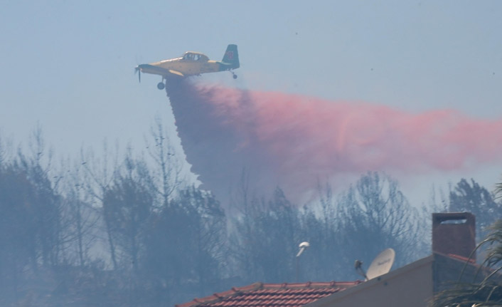 İzmir'de çıkan orman yangınına müdahale ediliyor. 22 Temmuz 2023