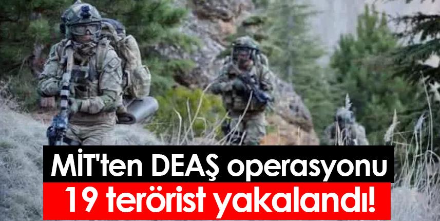 MİT'ten DEAŞ operasyonu! 19 terörist yakalandı