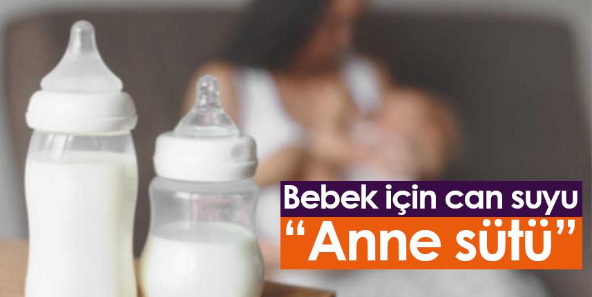 Bebek için can suyu: Anne sütü
