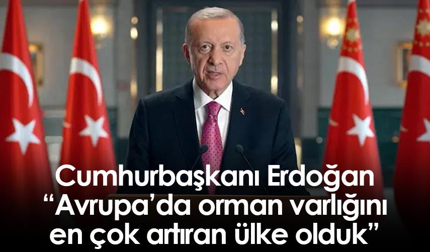 Cumhurbaşkanı Erdoğan: Avrupa'da orman varlığını en çok artıran ülke olduk"