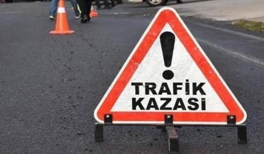 Ankara'da ayıya araba çarptı