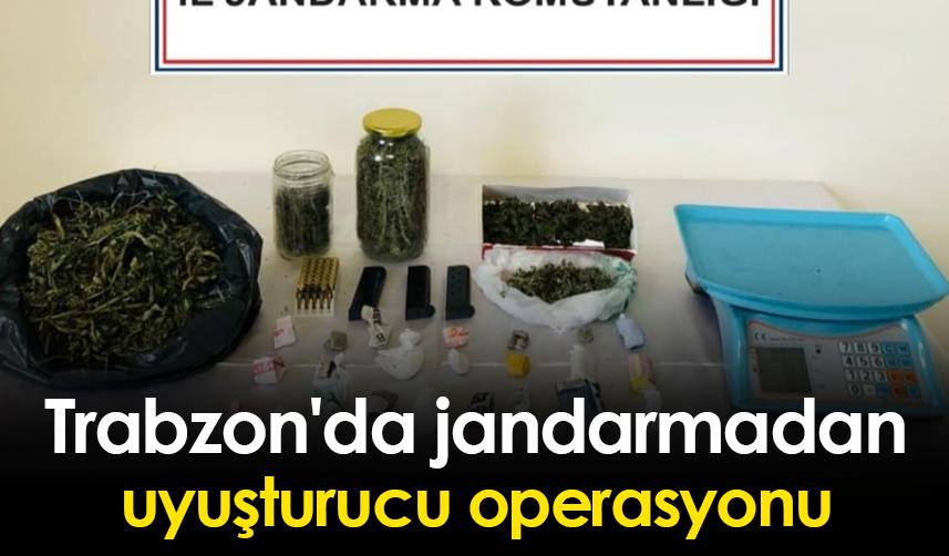Trabzon'da jandarmadan uyuşturucu operasyonu