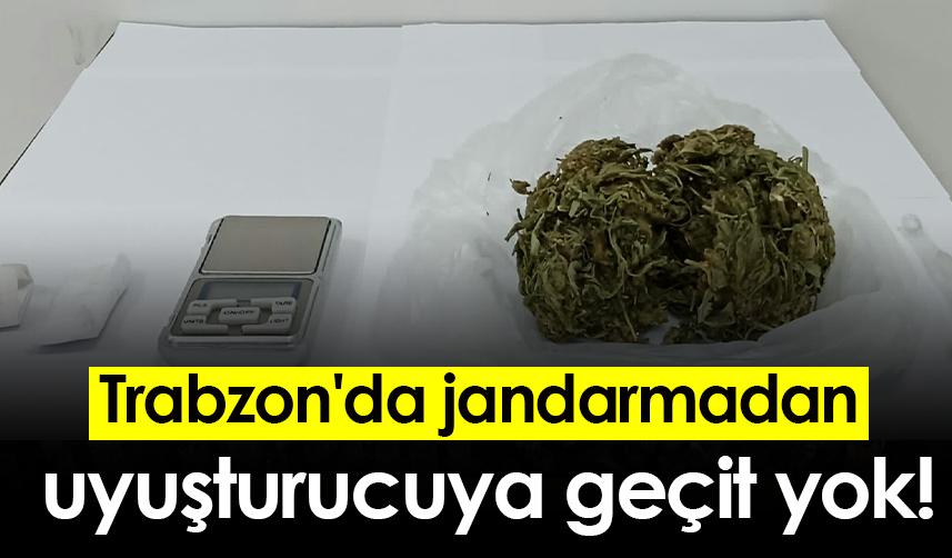 Trabzon'da jandarmadan uyuşturucuya geçit yok!