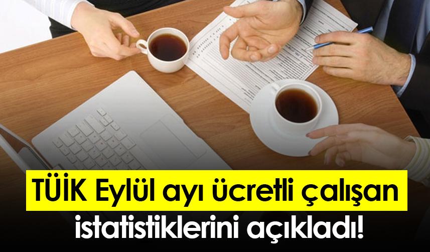 TÜİK Eylül ayı ücretli çalışan istatistiklerini açıkladı!