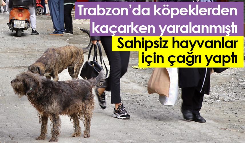 Trabzon’da köpeklerden  kaçarken yaralanmıştı Sahipsiz hayvanlar için çağrı yaptı