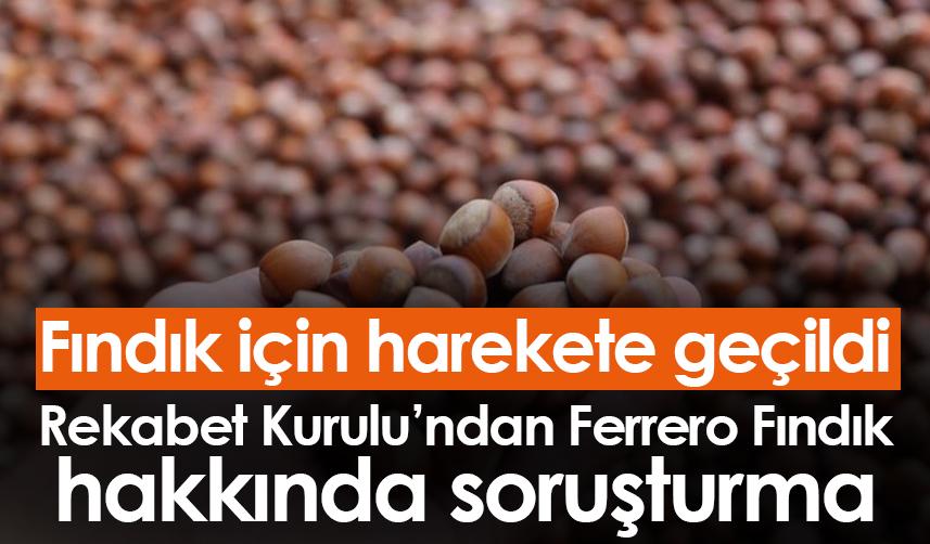Fındık için harekete geçildi! Rekabet Kurulu'ndan Ferrero Fındık hakkında soruşturma